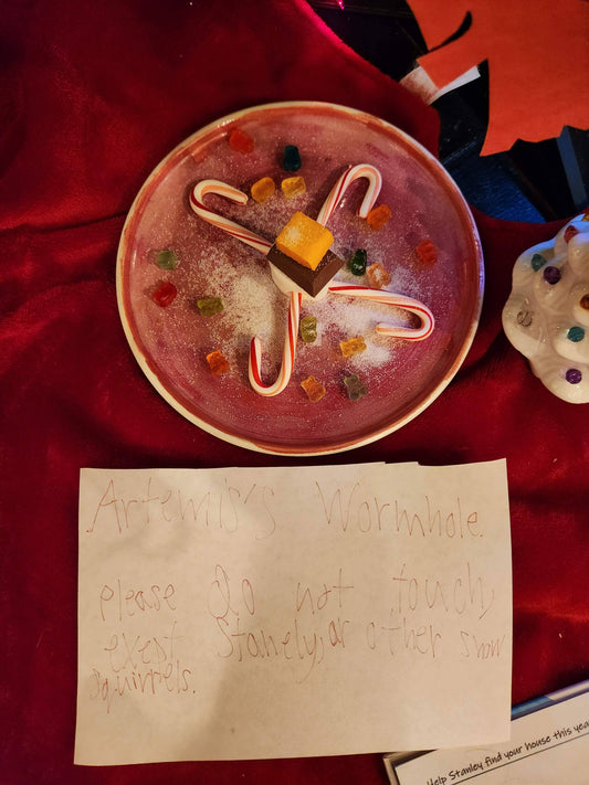 Year 3 Letter from a Wormhole Family!